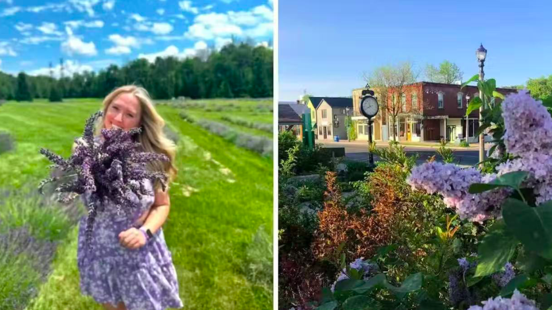 640-20260210-020451-698b02c3ca56b