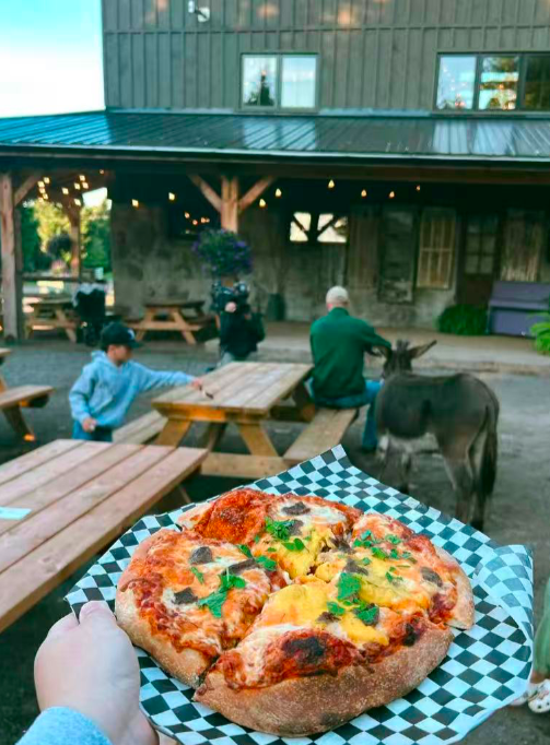 640-20260210-020503-698b02cf83248