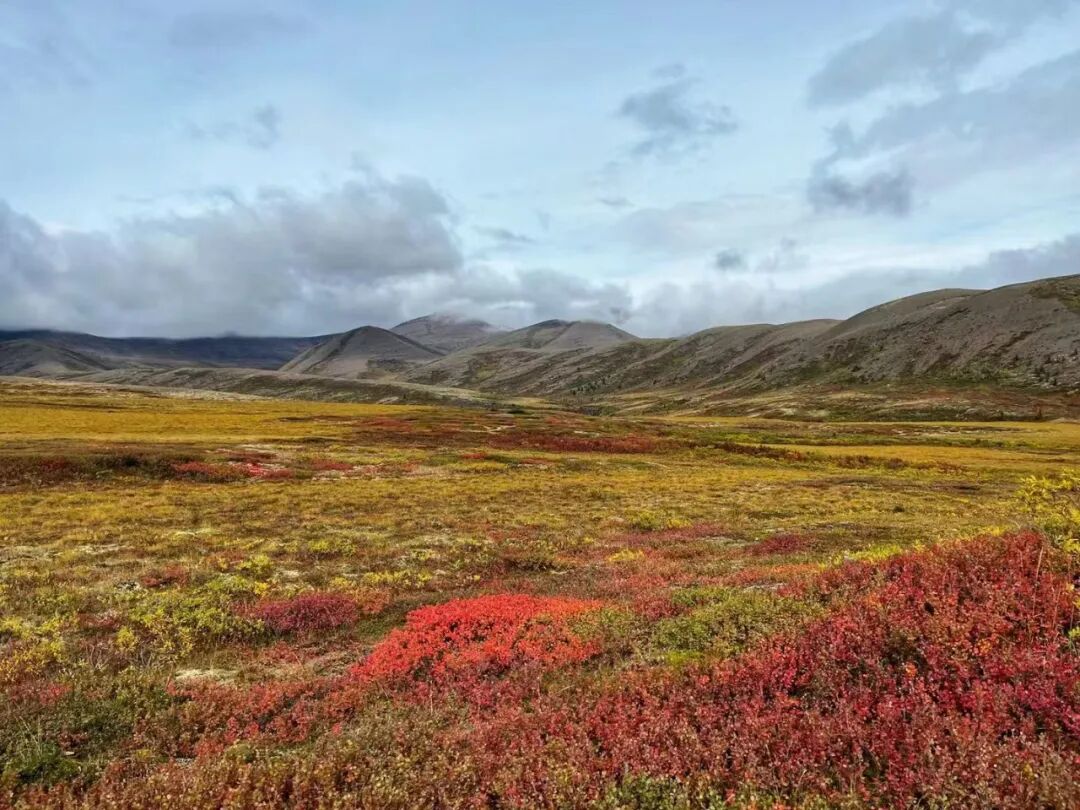 640-20260211-104416-698cce00bd20d