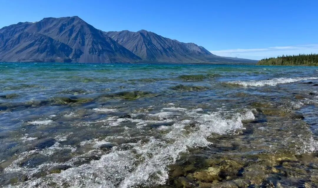 640-20260211-104428-698cce0cea01d