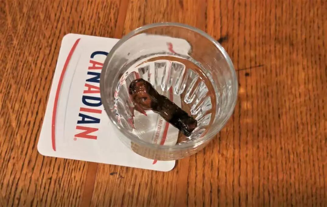 640-20260211-104430-698cce0e818a2