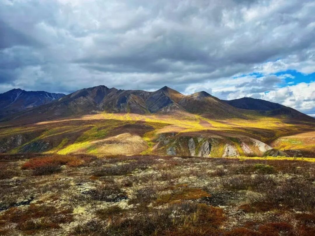 640-20260211-104431-698cce0f60593