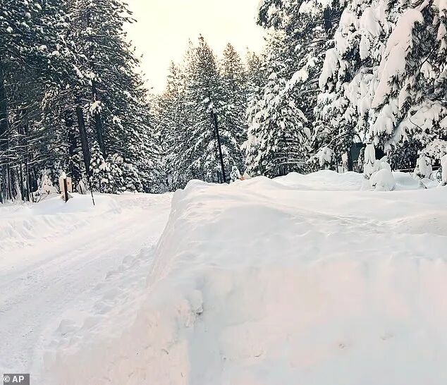 640-20260219-163114-6997ab52d3945