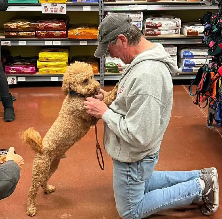 640-20260220-145645-6998e6ad33935