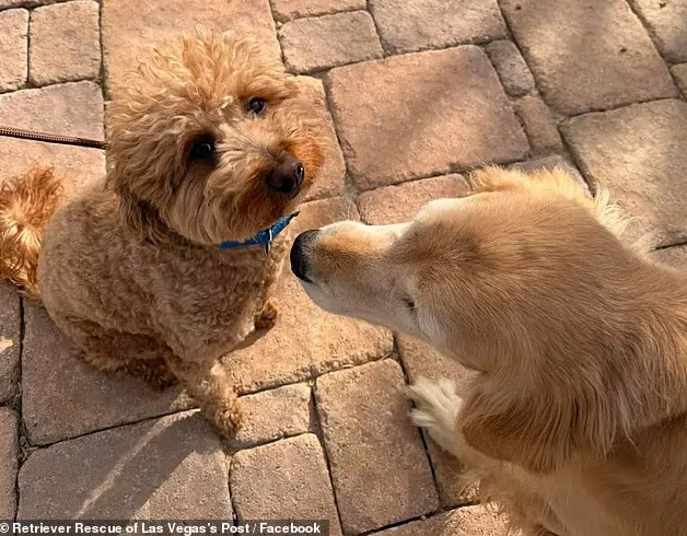 640-20260220-145646-6998e6ae832af