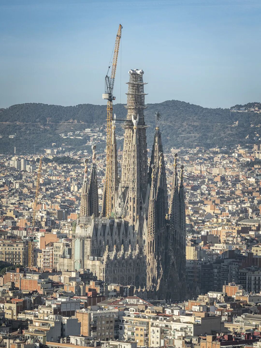 640-20260225-110011-699f46bbe4d5c