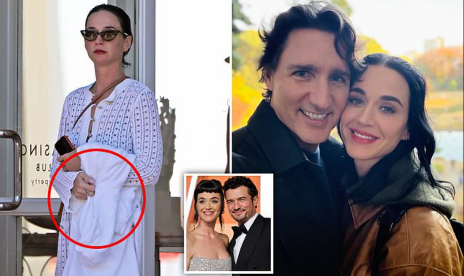 640-20260225-135002-699f6e8a581e4