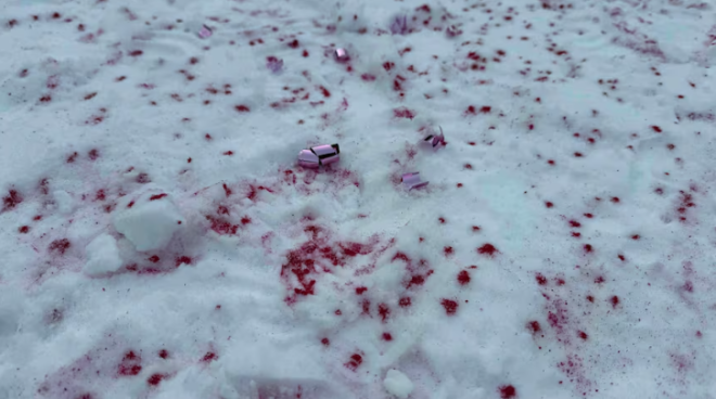 698f5a176e13d-20260213-120704-698f84686fe53