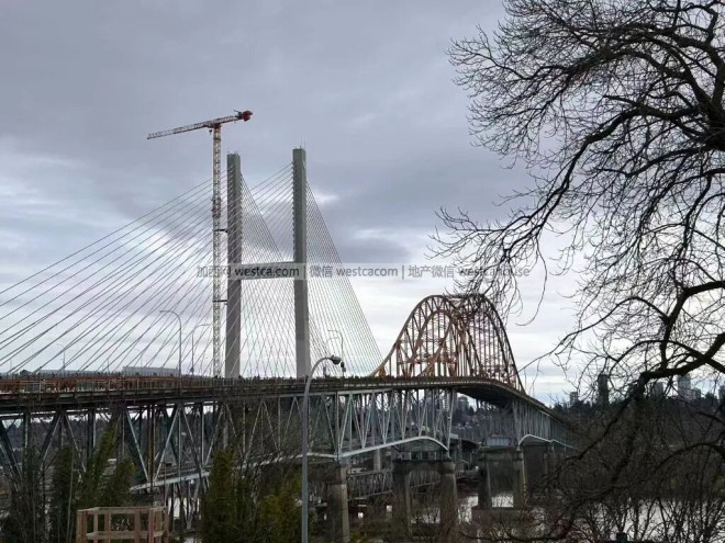 69947d45af0d4-20260217-102111-6994b1971a96a