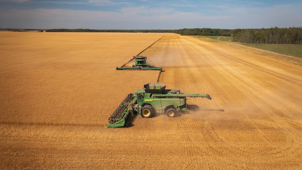 recolte-du-ble-et-du-canola-dans-la-region-de-riviere-la-paix-en-alberta-dji0325photoemilioa-20260227-105632-69a1e8e05c20a recolte-du-ble-et-du-canola-dans-la-region-de-riviere-la-paix-en-alberta-dji0325photoemilioa-20260227-105632-69a1e8e05c20a