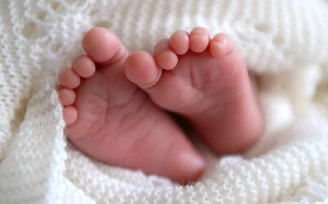 640-20260319-154523-69bc7c8322ed0