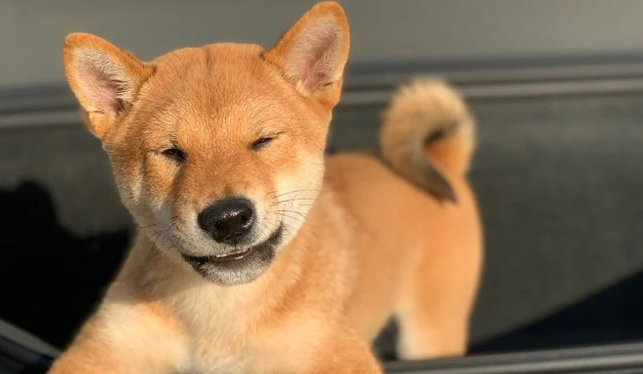 640-20260420-155850-69e6afaaa7c6e