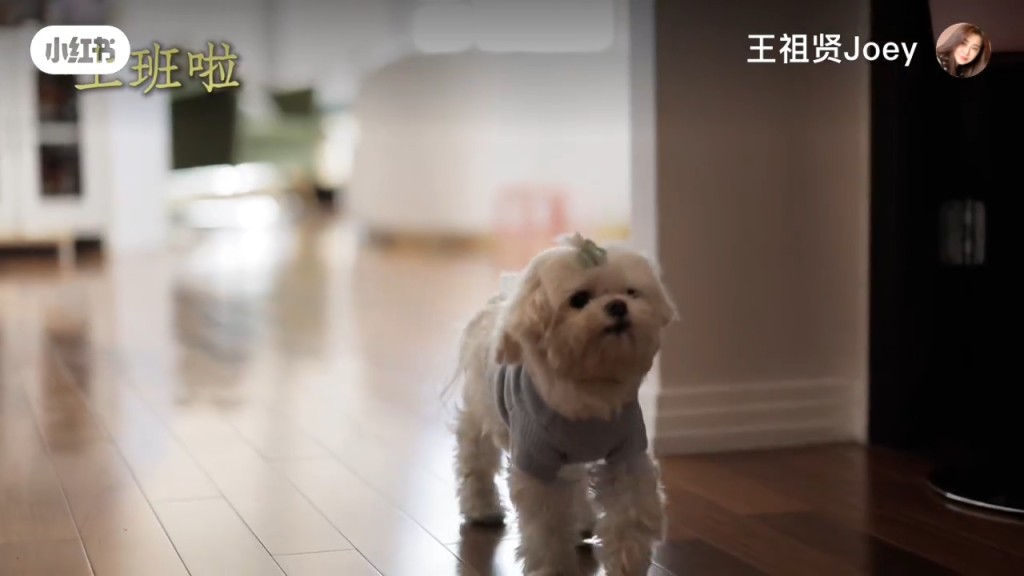 VS-ABRED-0_22_-20260419-082345-69e4f3814980d