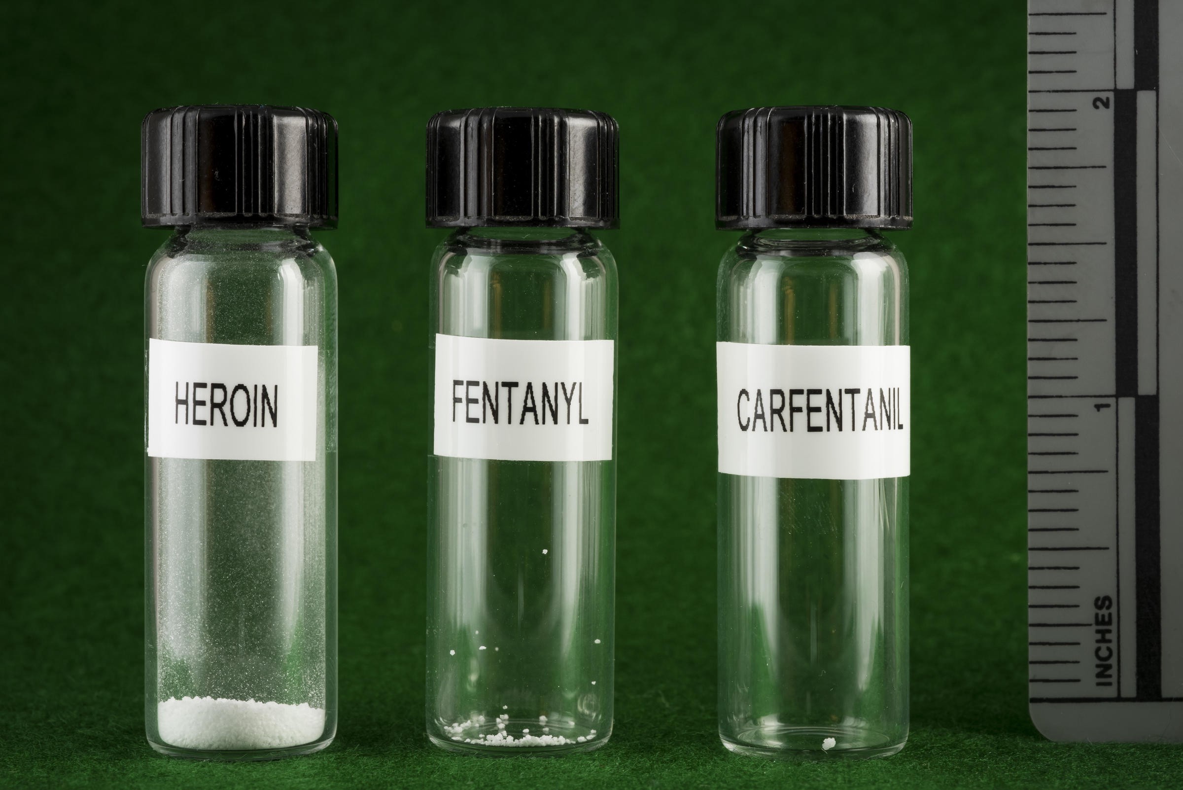 fentanyl-carfentanil-heroin-20260418-084700-69e3a7748ea4a fentanyl-carfentanil-heroin-20260418-084700-69e3a7748ea4a