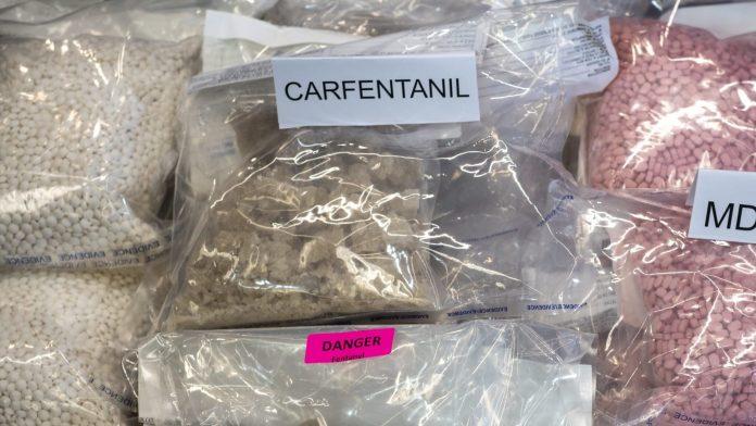 photo.php-20260418-084700-69e3a7746bf27