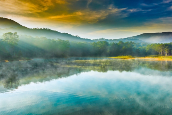 水清无鱼，人察无徒：宽容才有生命力