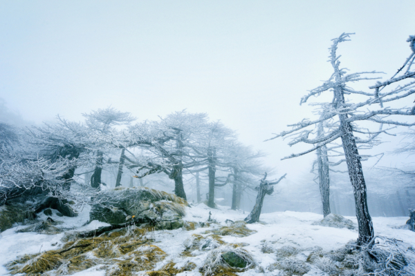 跟我学唐诗（46A）