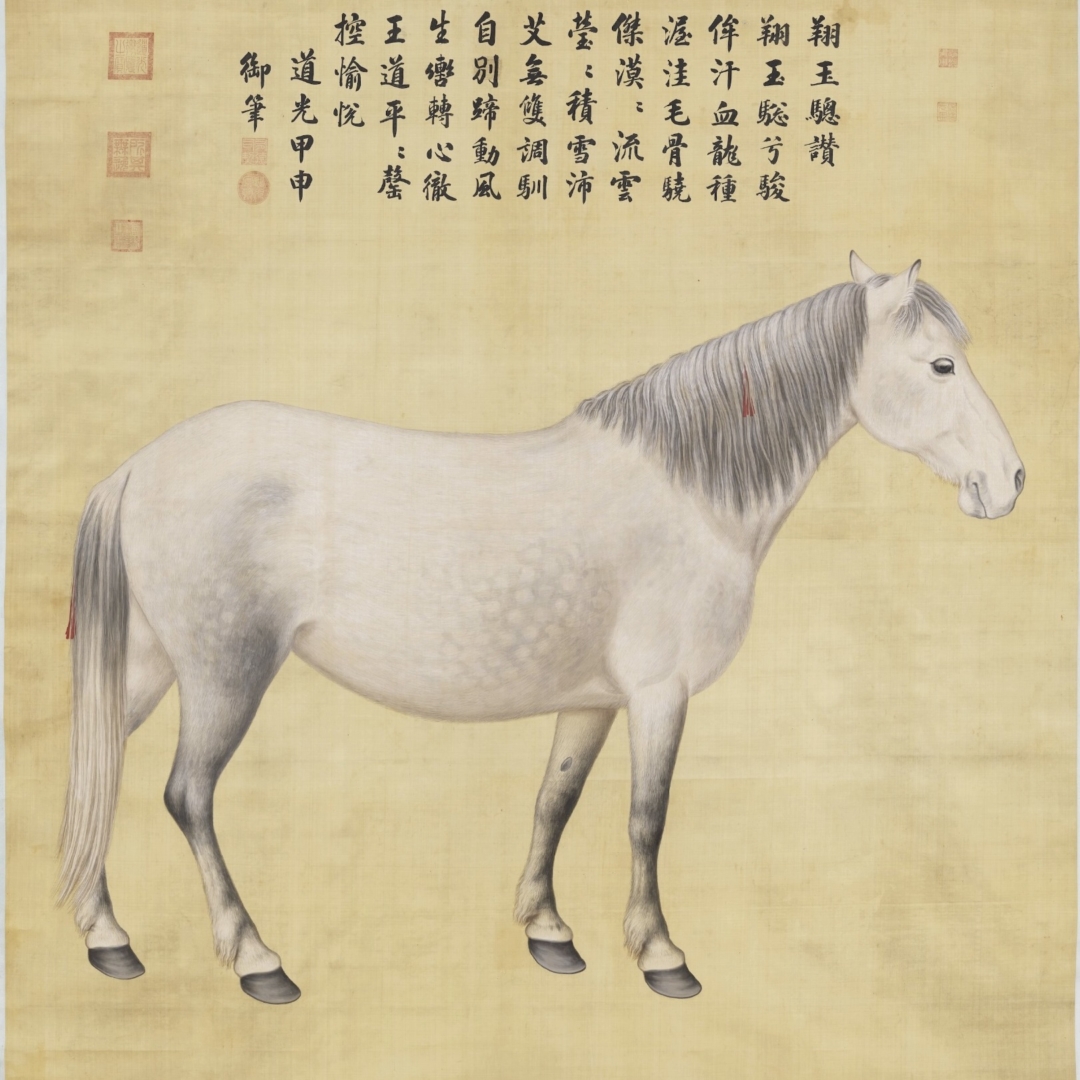 【小说】楚宫旧月（16）试探