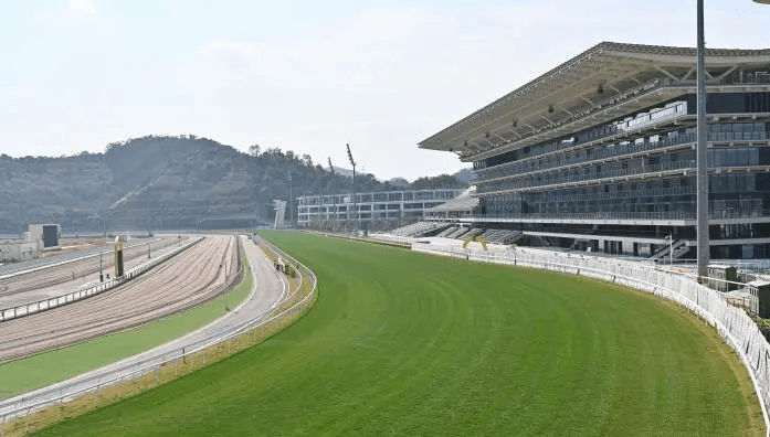 从化马场的草地、大看台等设施。中新社 从化马场的草地、大看台等设施。中新社