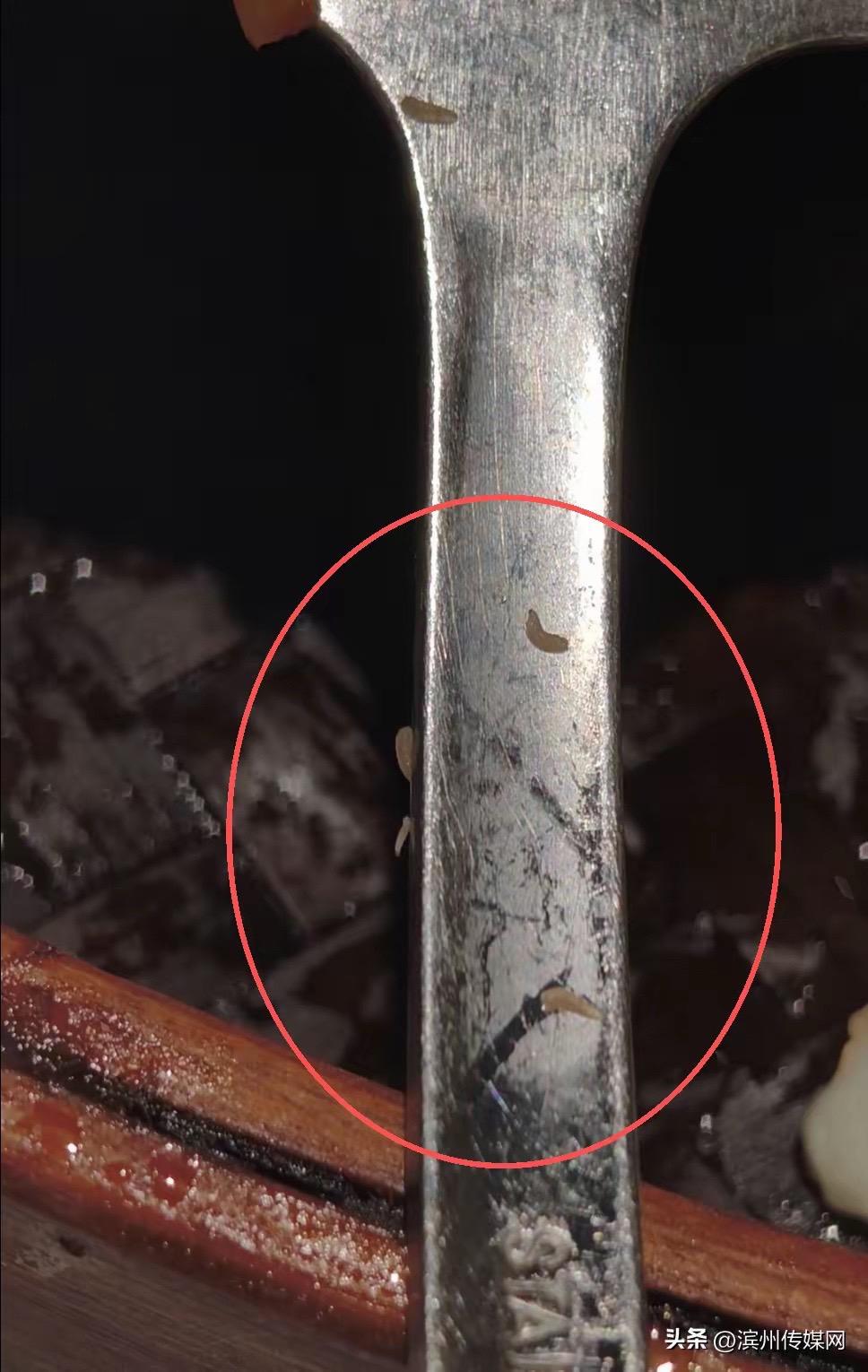 深圳龙岗有食肆被发现食材及餐具有活蛆虫。小红书 深圳龙岗有食肆被发现食材及餐具有活蛆虫。小红书