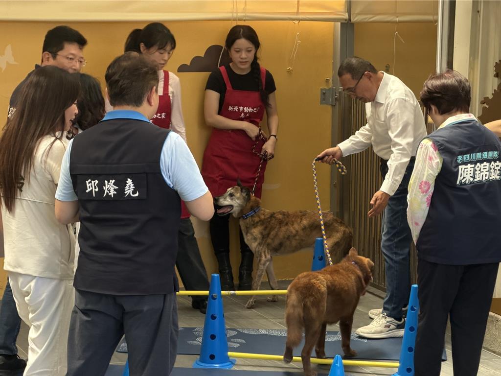 全台首座动物长期照顾园区昨在新北市正式启用。中时 全台首座动物长期照顾园区昨在新北市正式启用。中时