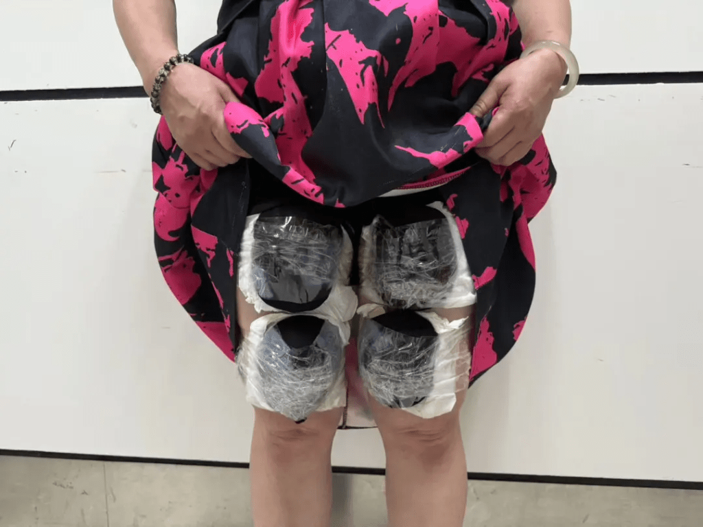 大妈走私团宽松裙子下暗藏濒危活龟。 海关发布 大妈走私团宽松裙子下暗藏濒危活龟。 海关发布