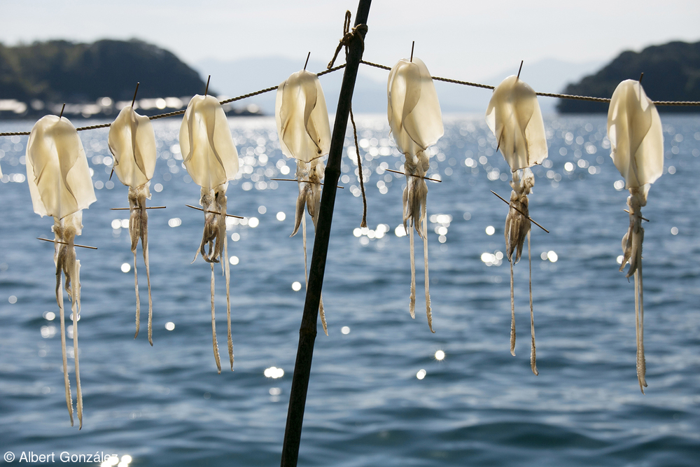 Albert González/ World Food Photography Awards Albert González/ World Food Photography Awards