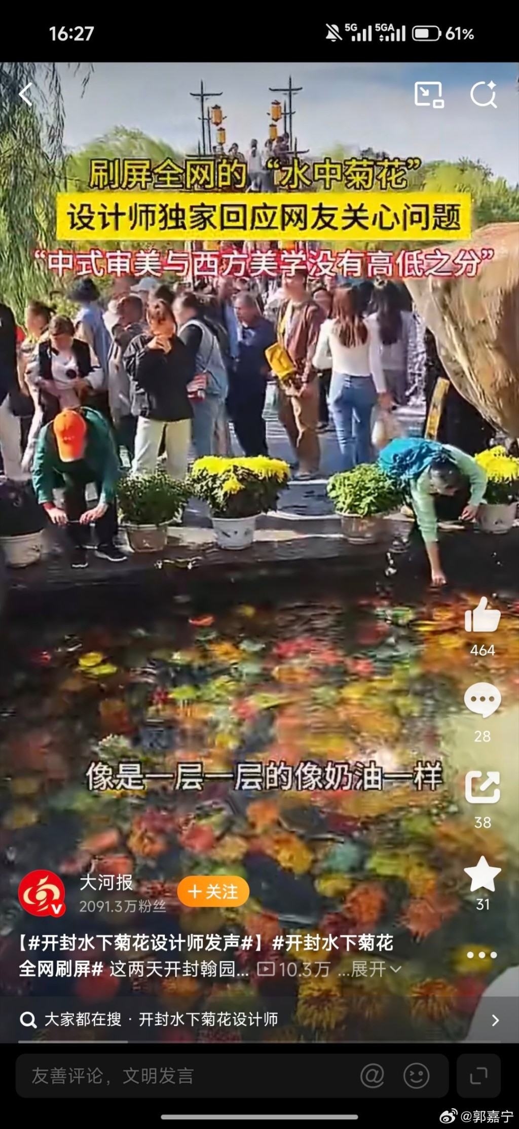开封水下浮菊打破赏花只可在地上的固有思维,大获好评。 开封水下浮菊打破赏花只可在地上的固有思维,大获好评。