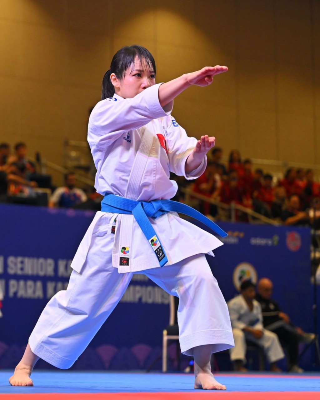 WKF 图 WKF 图