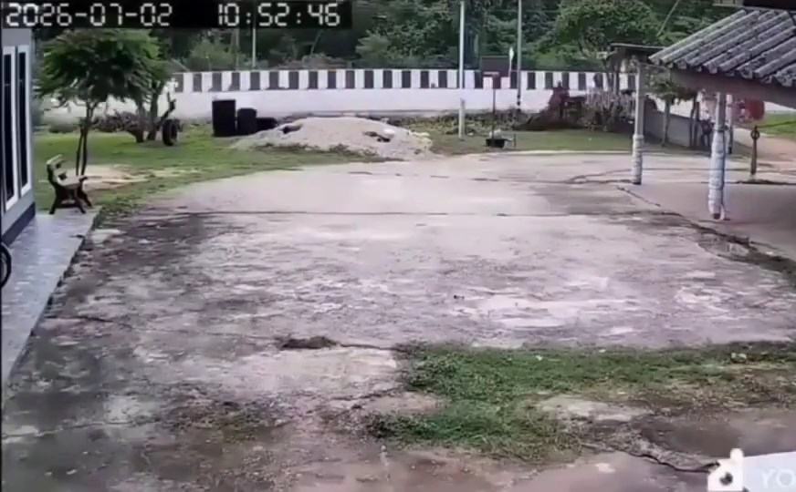 闭路电视拍下僧侣被货车撞倒的情景。X@Berita.Viral.Update 闭路电视拍下僧侣被货车撞倒的情景。X@Berita.Viral.Update