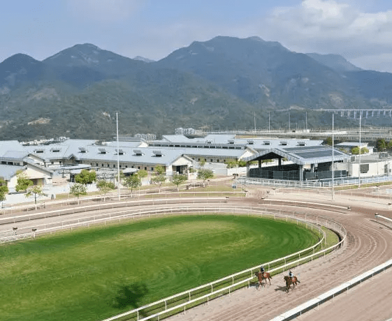 从化马场。 中新社 从化马场。 中新社