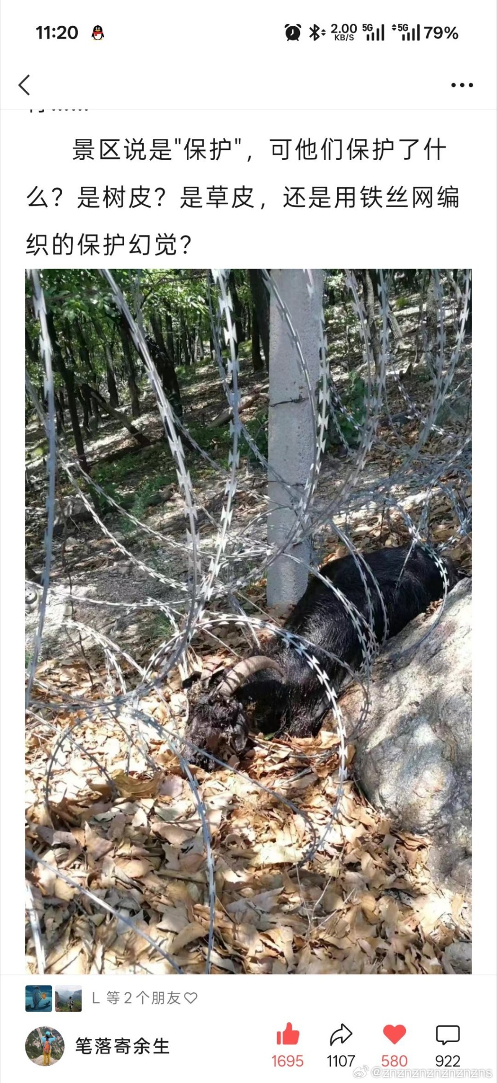 泰山被刀片铁丝网围封劣评如潮,被指破坏生态。微博 泰山被刀片铁丝网围封劣评如潮,被指破坏生态。微博