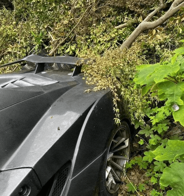 被闲置的Tesla跑车。橙柿互动 被闲置的Tesla跑车。橙柿互动