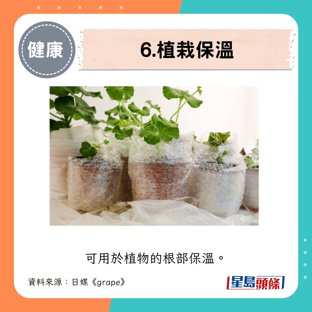 6. 植栽保温 6. 植栽保温