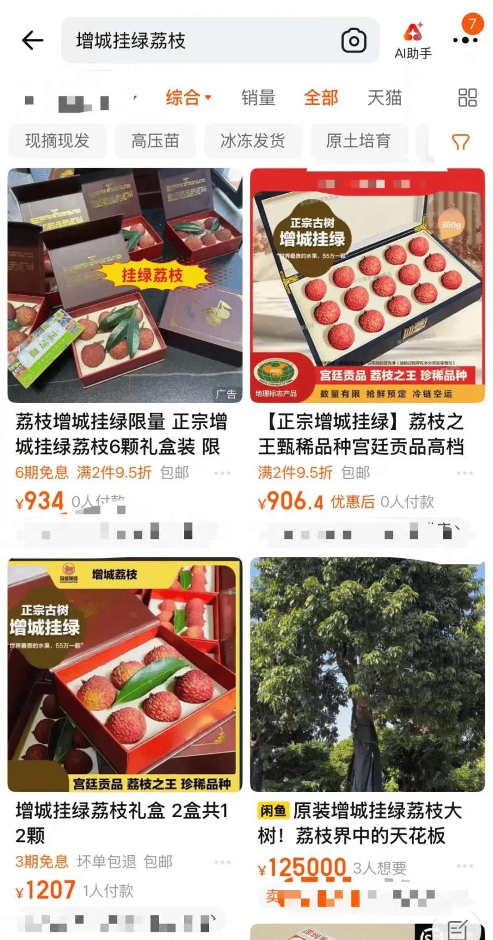 增城挂绿价格悬殊,6颗礼盒装高达千元。 增城挂绿价格悬殊,6颗礼盒装高达千元。
