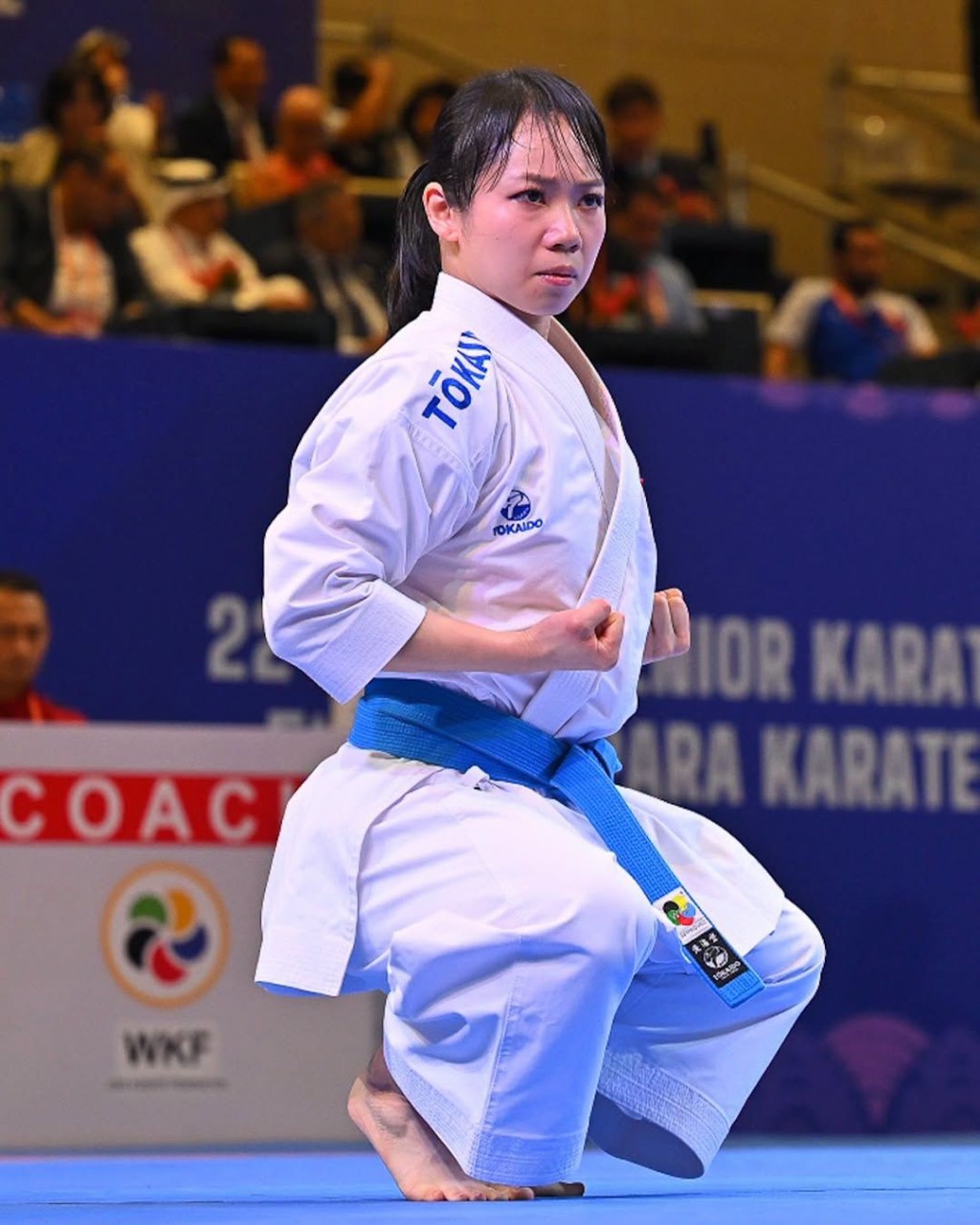 WKF 图 WKF 图