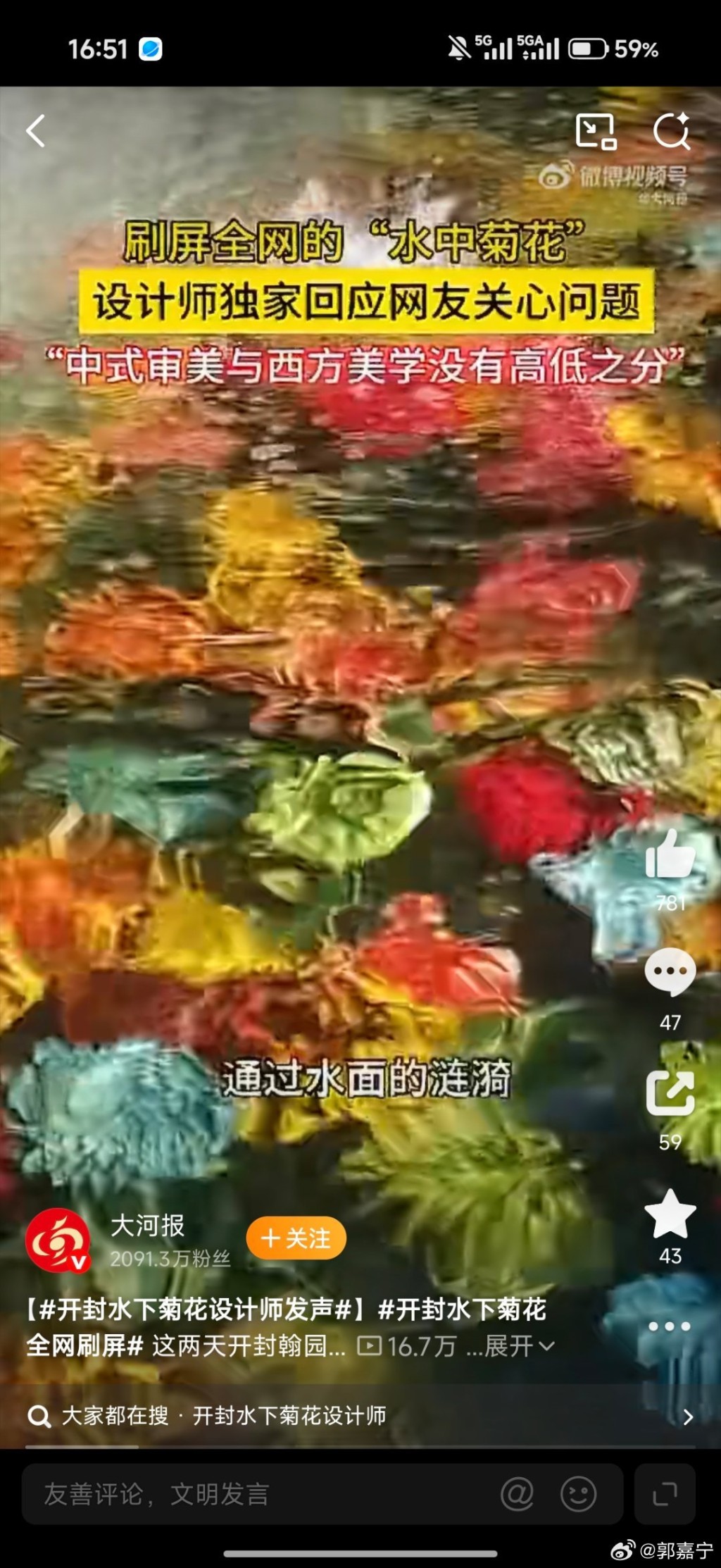 开封水下浮菊打破赏花只可在地上的固有思维,大获好评。 开封水下浮菊打破赏花只可在地上的固有思维,大获好评。
