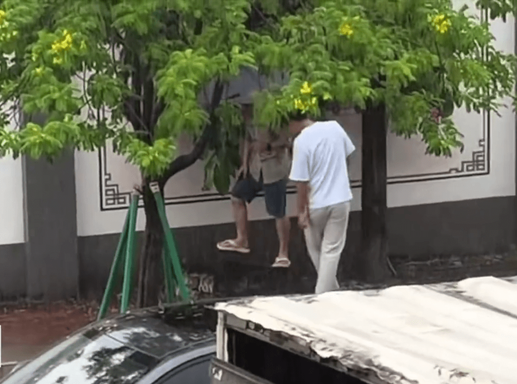 大街上两名街坊“胶箩”锁头生擒一条鳄鱼。 大街上两名街坊“胶箩”锁头生擒一条鳄鱼。