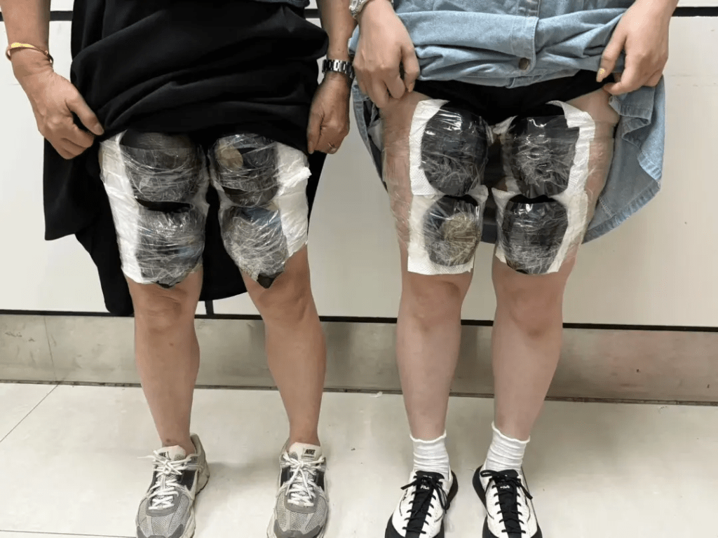 大妈走私团宽松裙子下暗藏濒危活龟。 海关发布 大妈走私团宽松裙子下暗藏濒危活龟。 海关发布