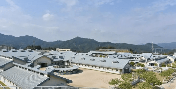 从化马场的马房、跑步机等设施。中新社 从化马场的马房、跑步机等设施。中新社