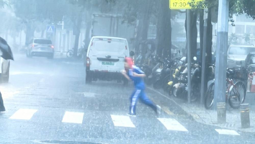 深圳红色预警生效,全市停课。 微博 深圳红色预警生效,全市停课。 微博