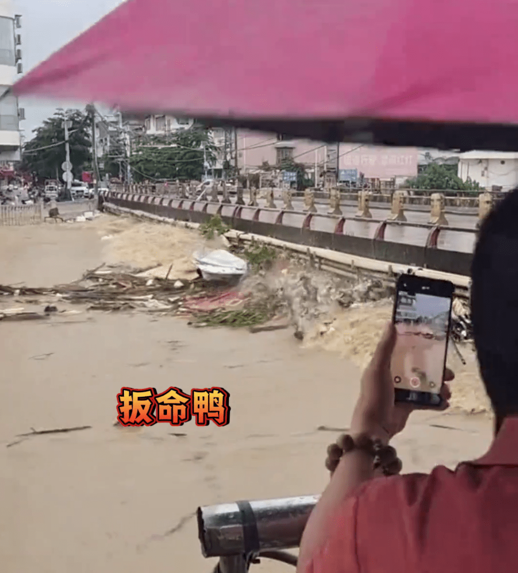 洪水中求存的“拼命鸭”。 洪水中求存的“拼命鸭”。