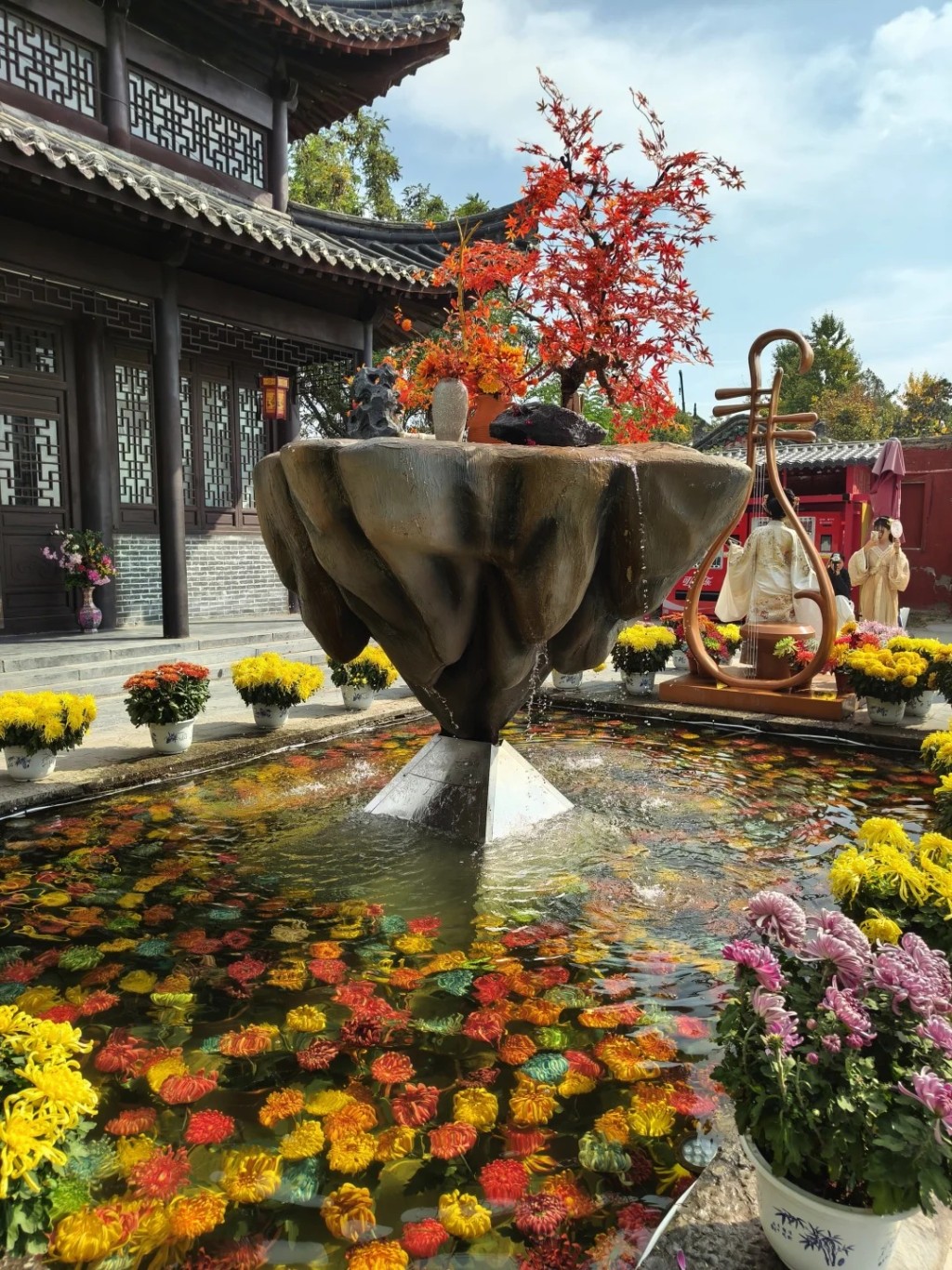 开封水下浮菊打破赏花只可在地上的固有思维，大获好评。