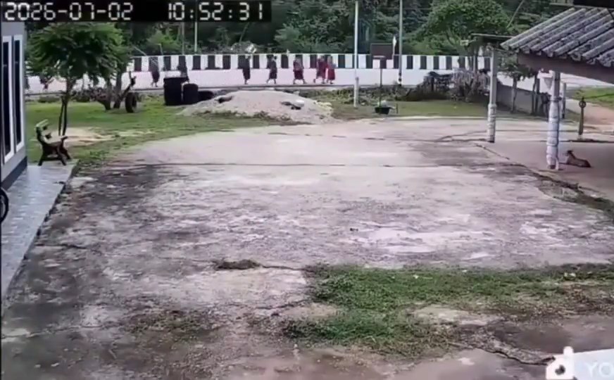 闭路电视拍下僧侣被货车撞倒的情景。X@Berita.Viral.Update 闭路电视拍下僧侣被货车撞倒的情景。X@Berita.Viral.Update