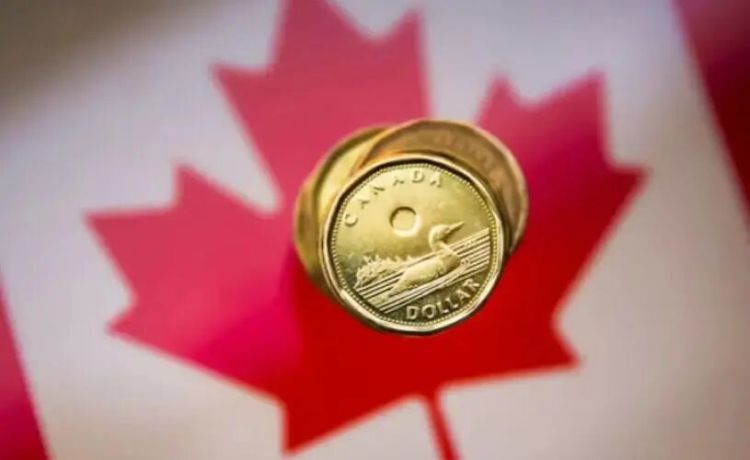 特朗普50%关税踩下刹车，加元应声走强