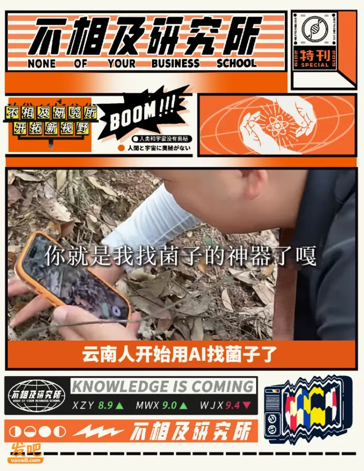 云南人开始用AI找菌子了