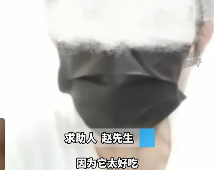 “好吃到不对劲”!男子较真查进口饼干 配料表完全对不上