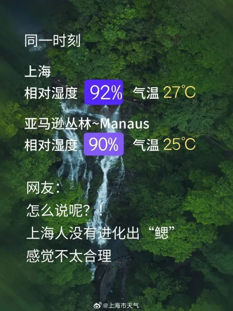 上海湿度92% 全身黏糊!网友:上海人即将进化出鳃