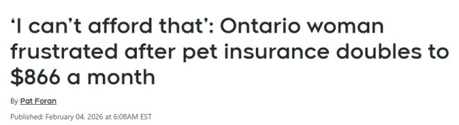 保险涨疯了！多伦多女子宠物狗月保费$866：11年白交$1.7万