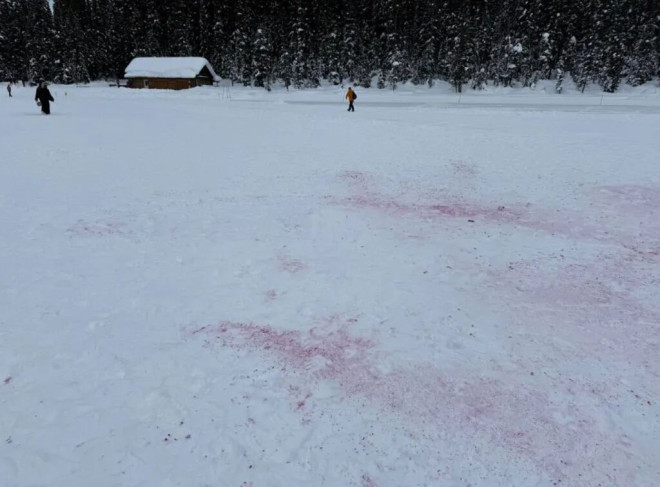 狂欢派对毁了“加拿大明信片” 美景被毁网友炸锅